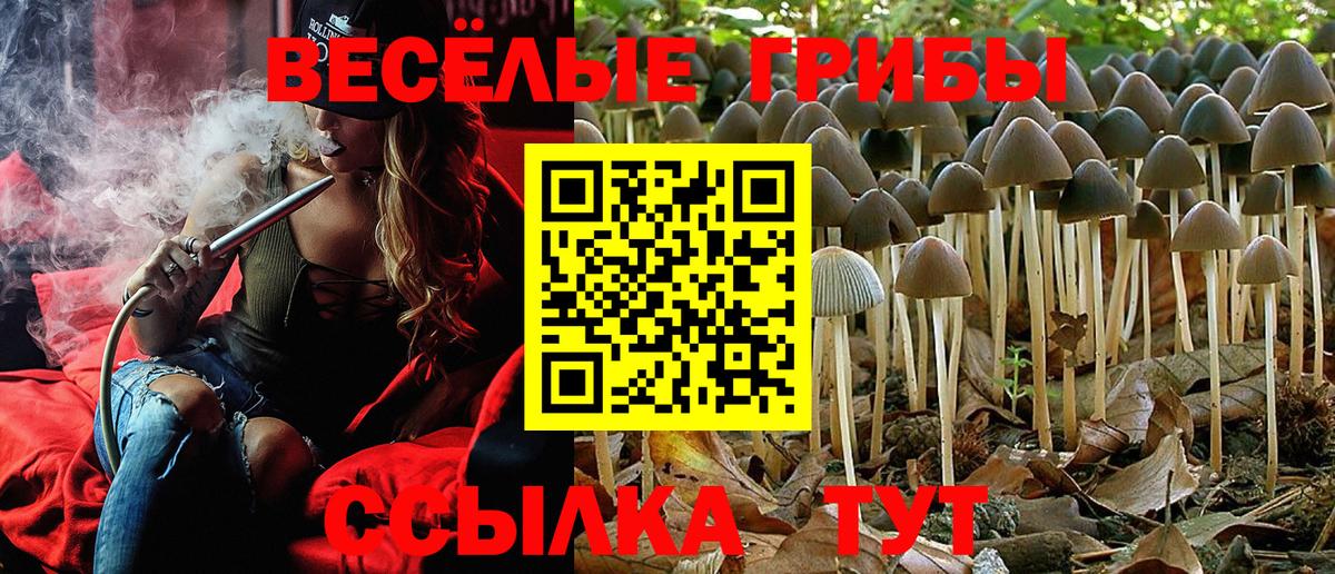 Псилоцибиновые грибы мицелий Заринск